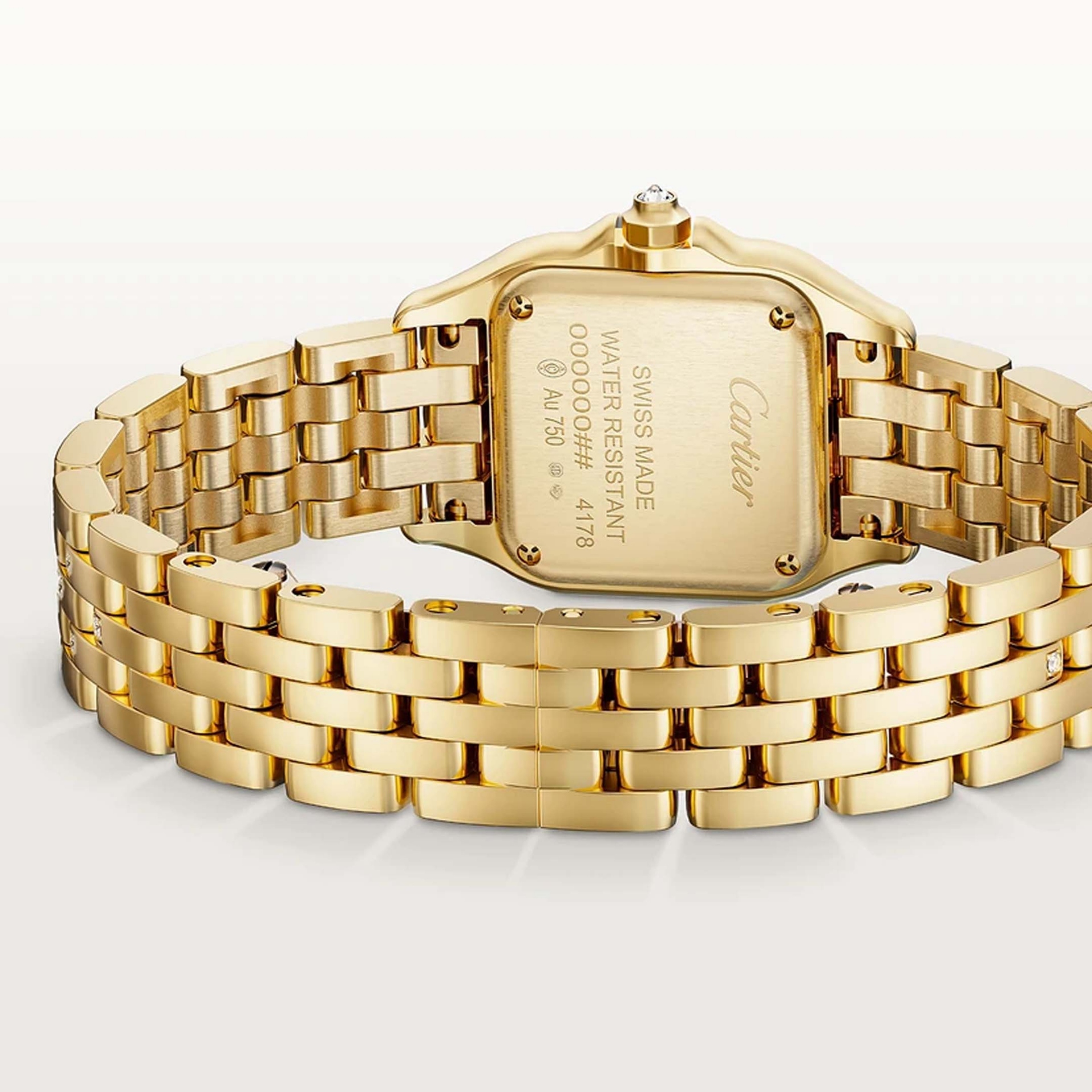 Cartier Panthère De Cartier Small Model 30.3 X 22 MM WJPN0059