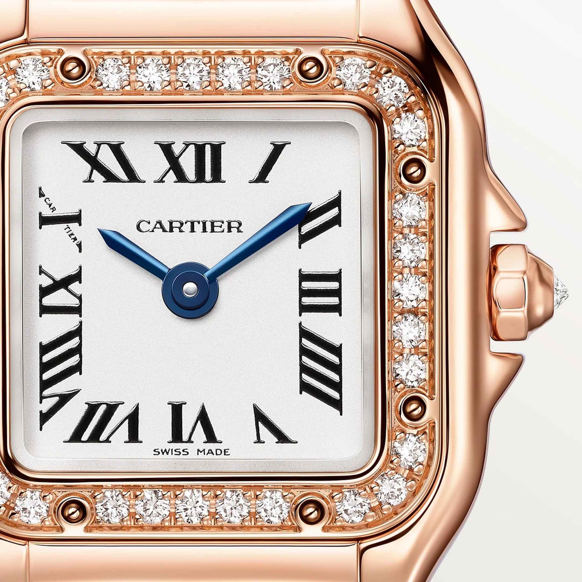 Cartier Panthère De Cartier Mini Model 25 X 20 MM WJPN0063